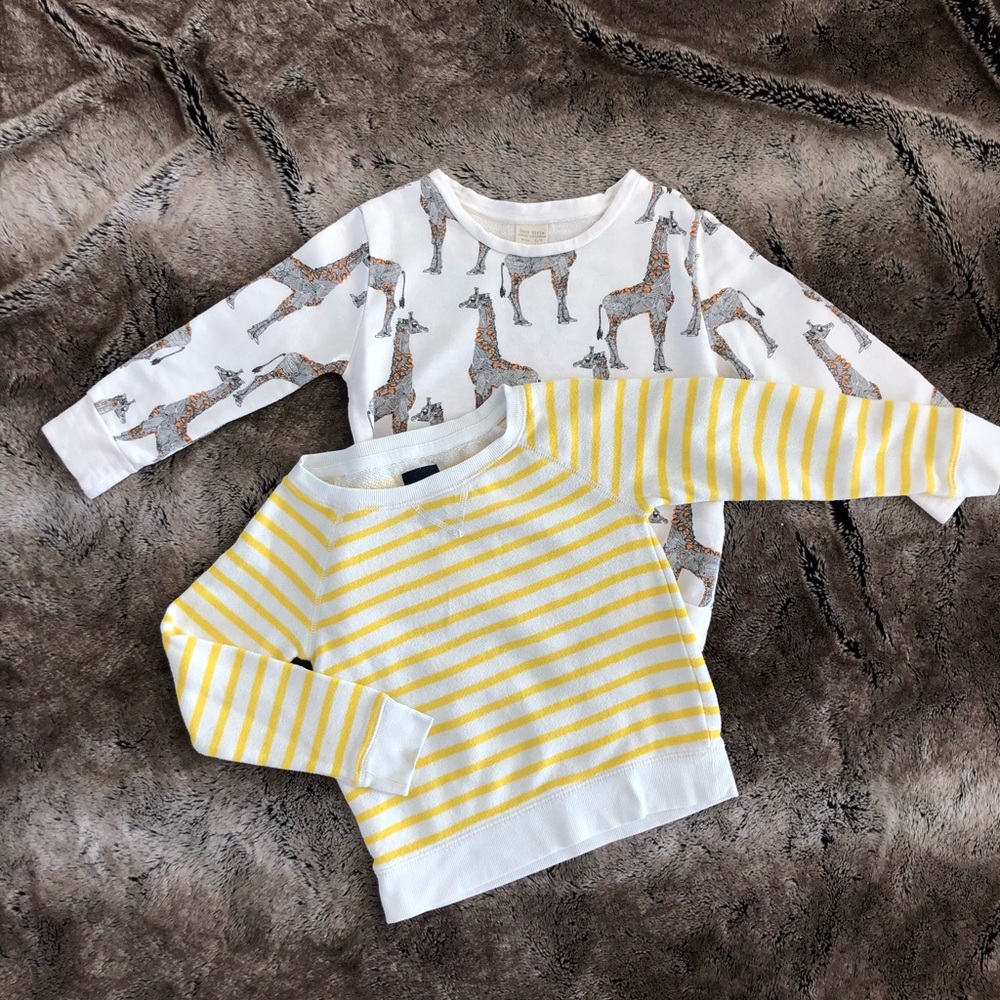 Two sweatshirts Zara and Gap size 6/7 girl
